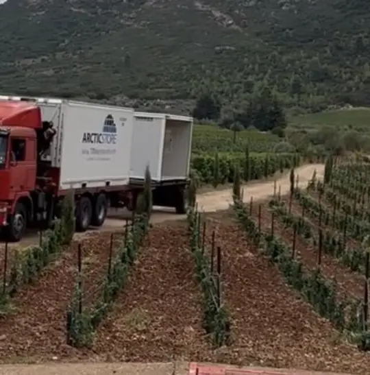 ArcticStore Cold Storage Greece Wineries – Refrigerated Containers
