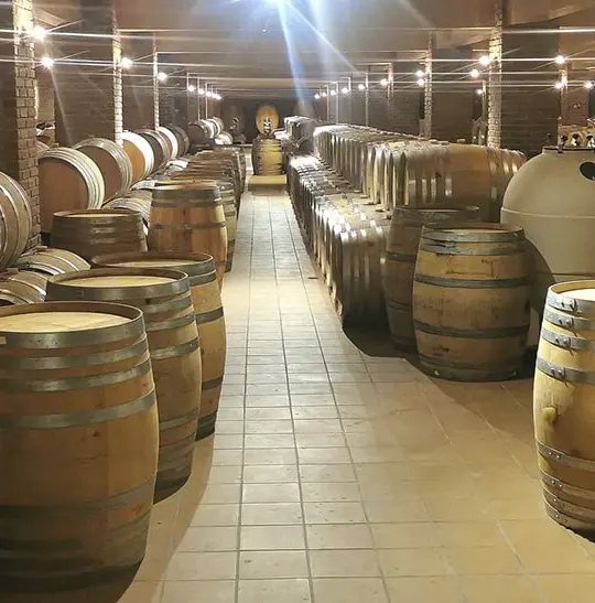 ArcticStore Cold Storage Greece Wineries – Refrigerated Containers