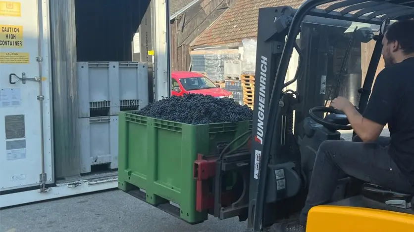 Cold Storage for Wineries